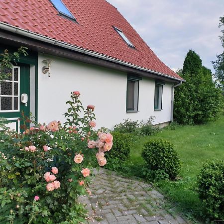 Oeko-Ferienhaus Rappin Zewnętrze zdjęcie