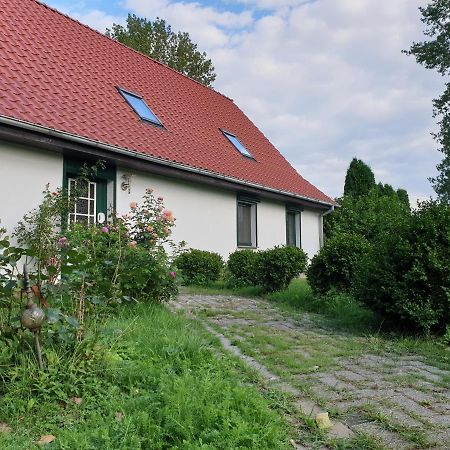 Oeko-Ferienhaus Rappin Zewnętrze zdjęcie