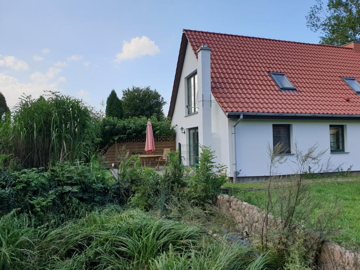 Oeko-Ferienhaus Rappin Zewnętrze zdjęcie