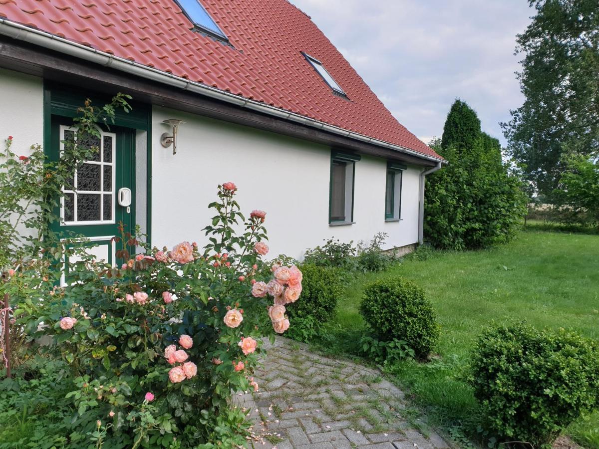 Oeko-Ferienhaus Rappin Zewnętrze zdjęcie