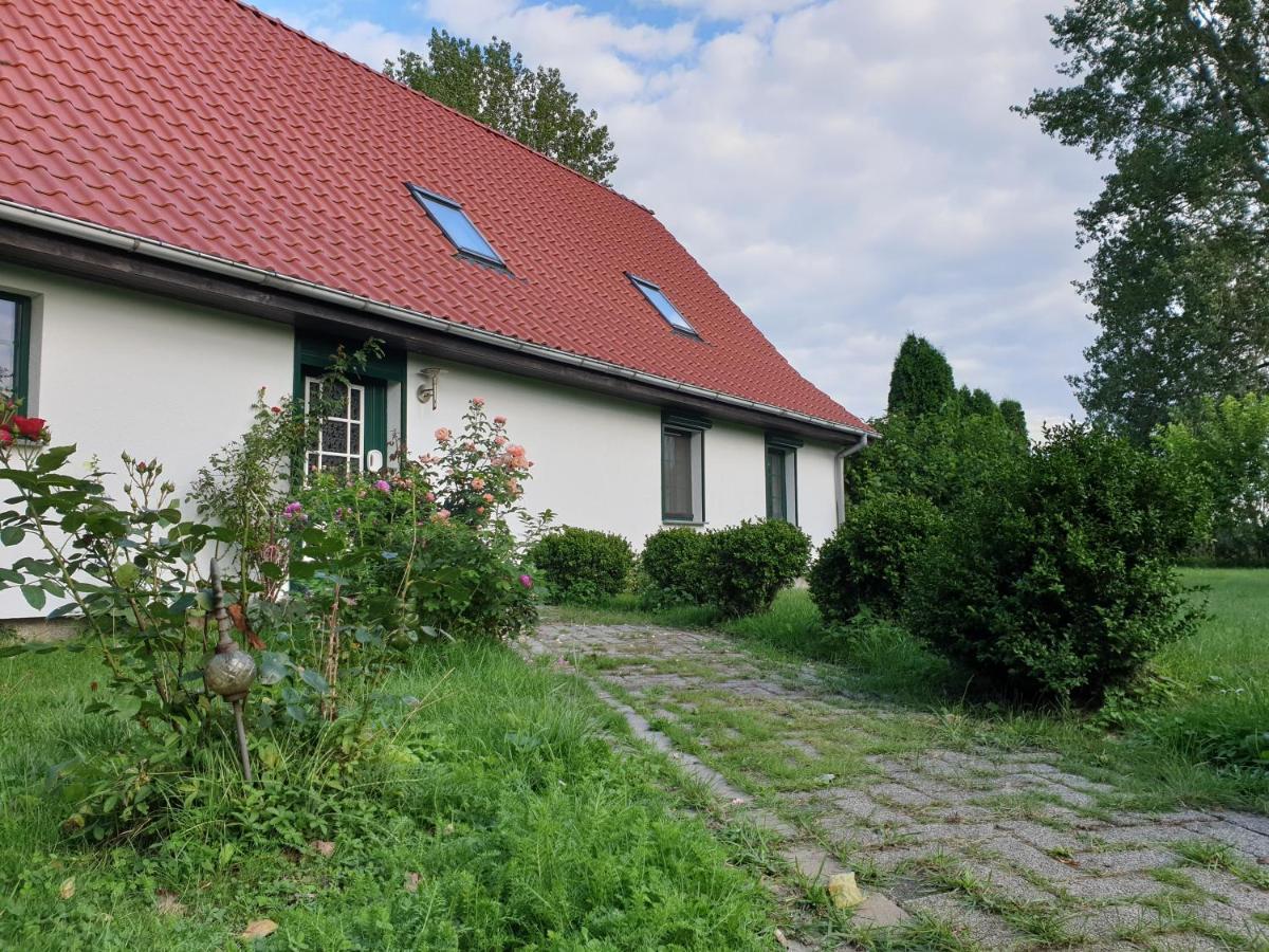 Oeko-Ferienhaus Rappin Zewnętrze zdjęcie